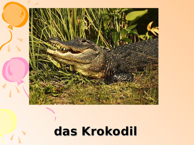 das Krokodil 