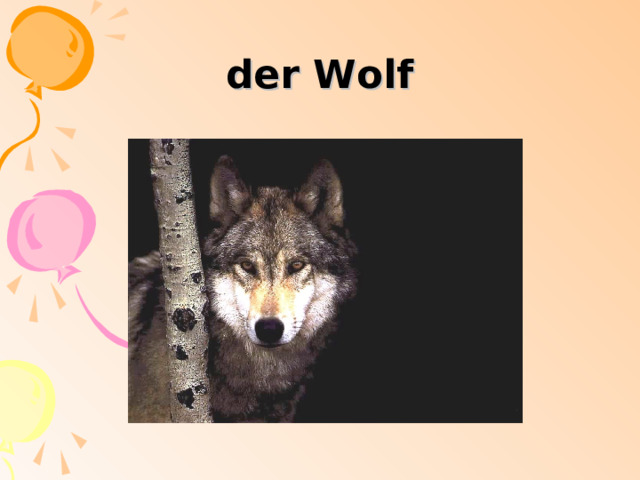 der Wolf 