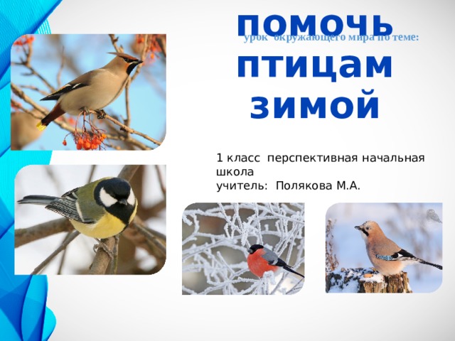 урок окружающего мира по теме: Как помочь птицам зимой 1 класс перспективная начальная школа учитель: Полякова М.А. 