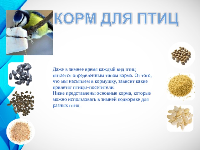 Даже в зимнее время каждый вид птиц питается определенным типом корма. От того, что мы насыплем в кормушку, зависит какие прилетят птицы–посетители. Ниже представлены основные корма, которые можно использовать в зимней подкормке для разных птиц. 