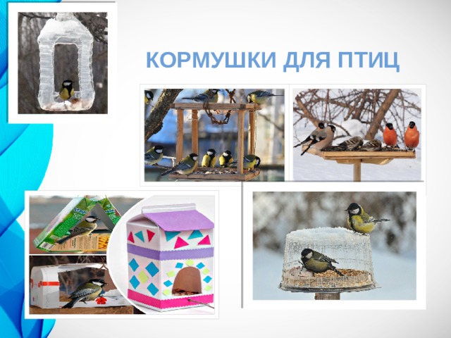 КОРМУШКИ ДЛЯ ПТИЦ 