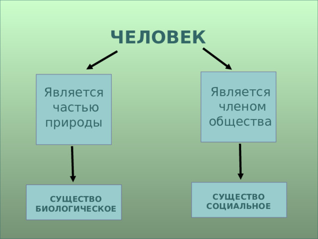 ЧЕЛОВЕК Является  членом общества Является  частью природы СУЩЕСТВО СОЦИАЛЬНОЕ СУЩЕСТВО БИОЛОГИЧЕСКОЕ 