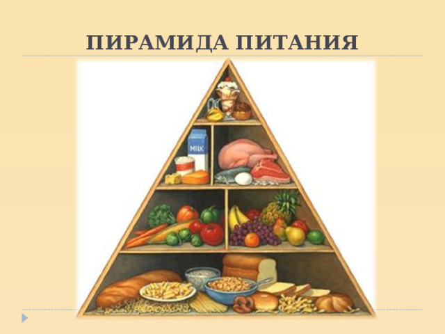 ПИРАМИДА ПИТАНИЯ 