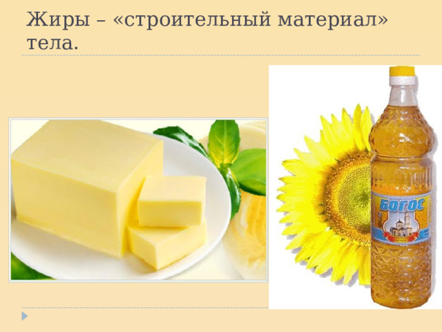 Жиры – «строительный материал» тела. 