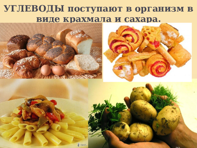 УГЛЕВОДЫ поступают в организм в виде крахмала и сахара. 