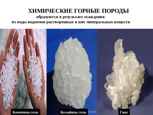  ХИМИЧЕСКИЕ ГОРНЫЕ ПОРОДЫ образуются в результате осаждения из воды водоемов растворенных в них минеральных веществ Каменная соль Калийная соль Гипс 