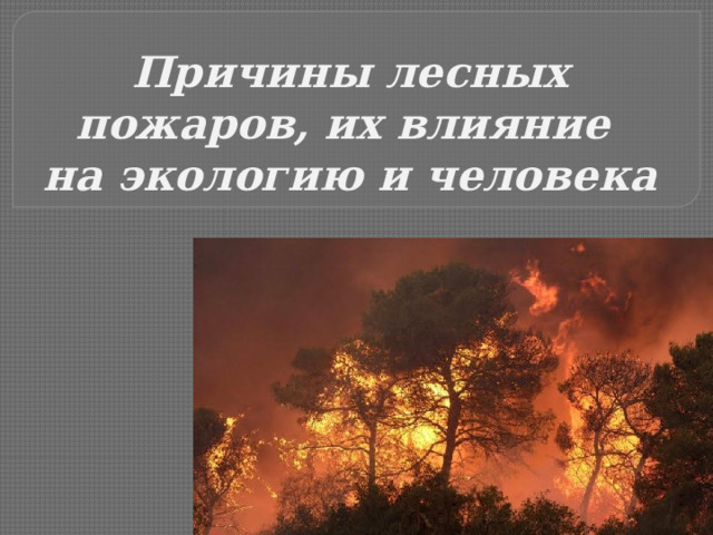 Причины лесных пожаров, их влияние на экологию и человека 