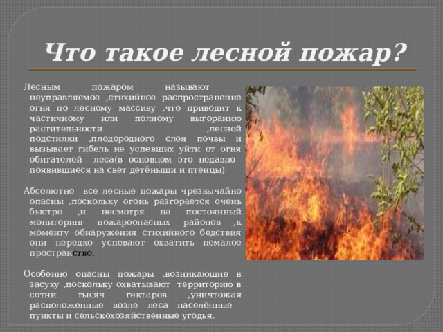 Что такое лесной пожар? Лесным пожаром называют неуправляемое ,стихийное распространение огня по лесному массиву ,что приводит к частичному или полному выгоранию растительности ,лесной подстилки ,плодородного слоя почвы и вызывает гибель не успевших уйти от огня обитателей леса(в основном это недавно появившиеся на свет детёныши и птенцы) Абсолютно все лесные пожары чрезвычайно опасны ,поскольку огонь разгорается очень быстро ,и несмотря на постоянный мониторинг пожароопасных районов ,к моменту обнаружения стихийного бедствия они нередко успевают охватить немалое простран ство. Особенно опасны пожары ,возникающие в засуху ,поскольку охватывают территорию в сотни тысяч гектаров ,уничтожая расположенные возле леса населённые пункты и сельскохозяйственные угодья. 