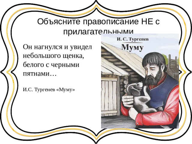Объясните правописание НЕ с прилагательными Он нагнулся и увидел небольшого щенка, белого с черными пятнами… И.С. Тургенев «Муму» 