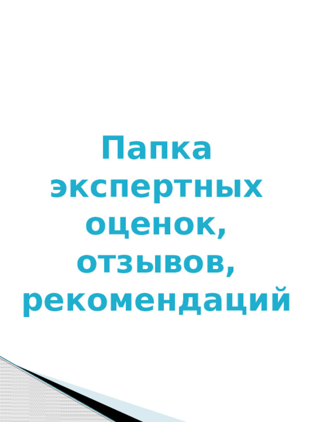 Папка экспертных оценок, отзывов, рекомендаций 