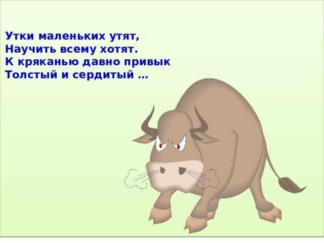 Утки маленьких утят,  Научить всему хотят.  К кряканью давно привык  Толстый и сердитый … 
