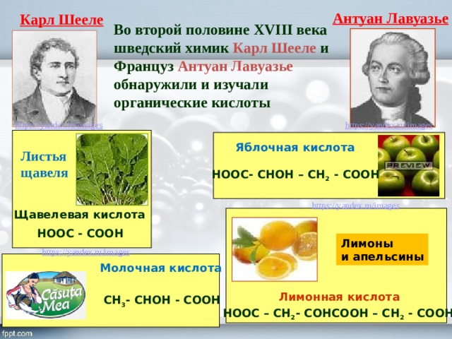 Антуан Лавуазье Карл Шееле Во второй половине XVIII века шведский химик Карл Шееле и Француз Антуан Лавуазье  обнаружили и изучали органические кислоты Яблочная кислота Листья щавеля HOOC- CHOH – CH 2 - COOH Щавелевая кислота  HOOC - COOH Лимоны и апельсины  Молочная кислота Лимонная кислота CH 3 - CHOH - COOH  HOOC – CH 2 - COHCOOH – CH 2 - COOH 