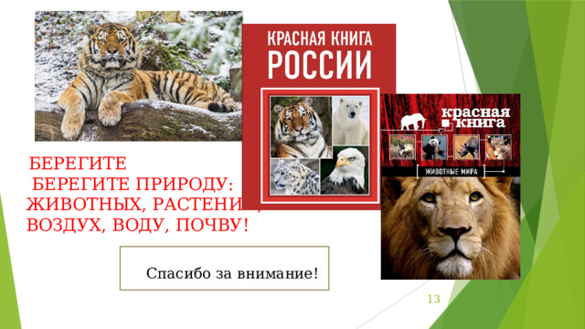   БЕРЕГИТЕ   БЕРЕГИТЕ ПРИРОДУ: ЖИВОТНЫХ, РАСТЕНИЯ, ВОЗДУХ, ВОДУ, ПОЧВУ! Спасибо за внимание!  