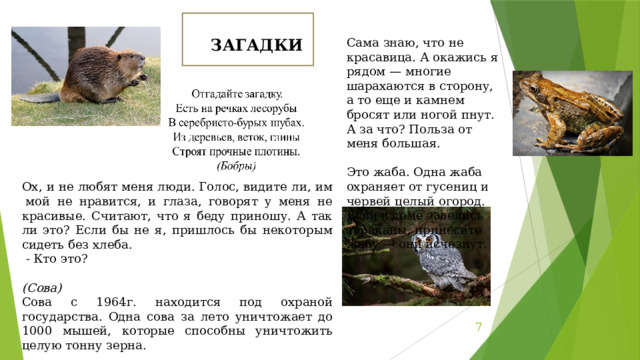 ЗАГАДКИ Сама знаю, что не красавица. А окажись я рядом — многие шарахаются в сторону, а то еще и камнем бросят или ногой пнут. А за что? Польза от меня большая. Это жаба. Одна жаба охраняет от гусениц и червей целый огород. Если в доме завелись тараканы, принесите жабу — они исчезнут. Ох, и не любят меня люди. Голос, видите ли, им  мой не нравится, и глаза, говорят у меня не красивые. Считают, что я беду приношу. А так ли это? Если бы не я, пришлось бы некоторым сидеть без хлеба.   - Кто это?  (Сова) Сова с 1964г. находится под охраной государства. Одна сова за лето уничтожает до 1000 мышей, которые способны уничтожить целую тонну зерна.  