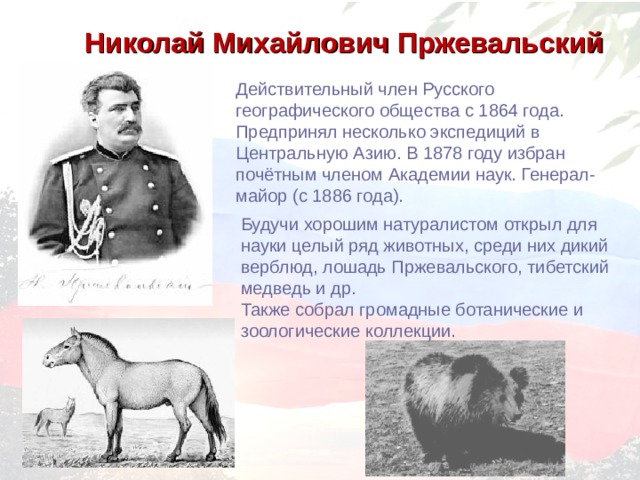 Николай Михайлович Пржевальский Действительный член Русского географического общества с 1864 года. Предпринял несколько экспедиций в Центральную Азию. В 1878 году избран почётным членом Академии наук. Генерал-майор (с 1886 года). Будучи хорошим натуралистом открыл для науки целый ряд животных, среди них дикий верблюд, лошадь Пржевальского, тибетский медведь и др. Также собрал громадные ботанические и зоологические коллекции. 