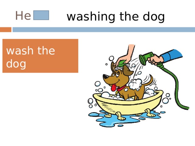 He is washing the dog wash the dog 
