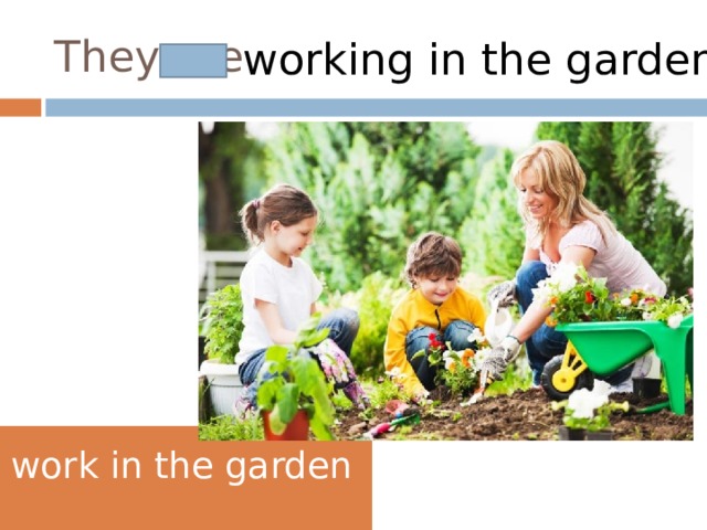 They are working in the garden work in the garden 