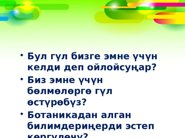 Бул гүл бизге эмне үчүн келди деп ойлойсуңар? Биз эмне үчүн бөлмөлөргө гүл өстүрөбүз? Ботаникадан алган билимдериңерди эстеп көргүлөчү? 