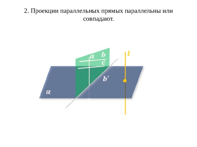 2. Проекции параллельных прямых параллельны или совпадают.   
