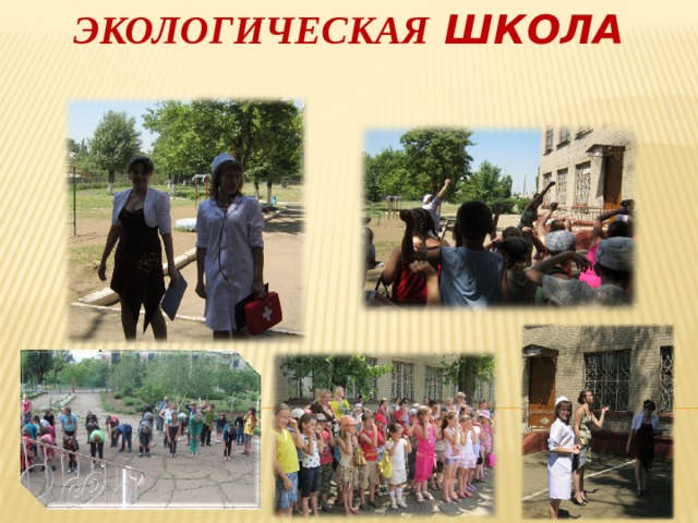 Экологическая школа    