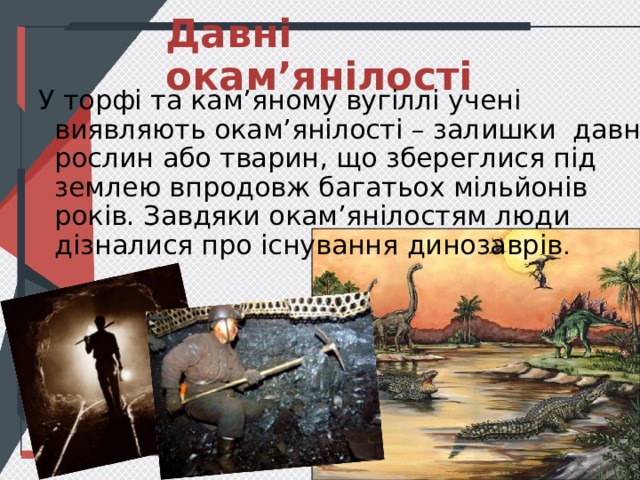 Давні окам’янілості У торфі та кам’яному вугіллі учені виявляють окам’янілості – залишки давніх рослин або тварин, що збереглися під землею впродовж багатьох мільйонів років. Завдяки окам’янілостям люди дізналися про існування динозаврів . 