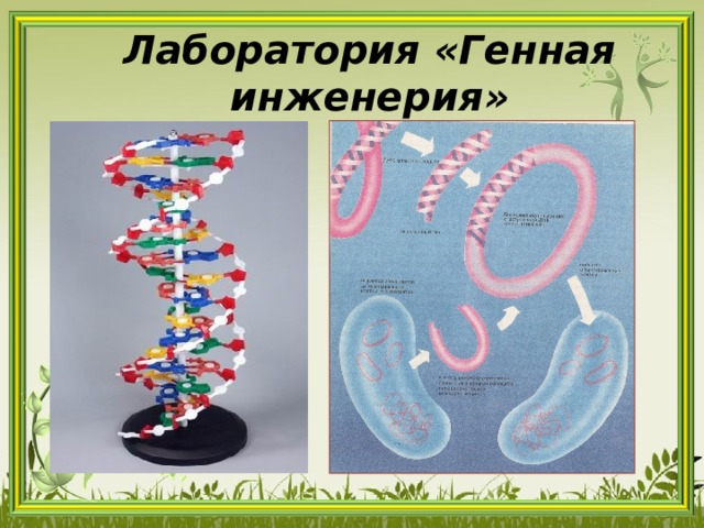 Лаборатория «Генная инженерия» 