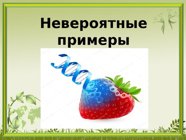 Невероятные примеры трансгенных продуктов 