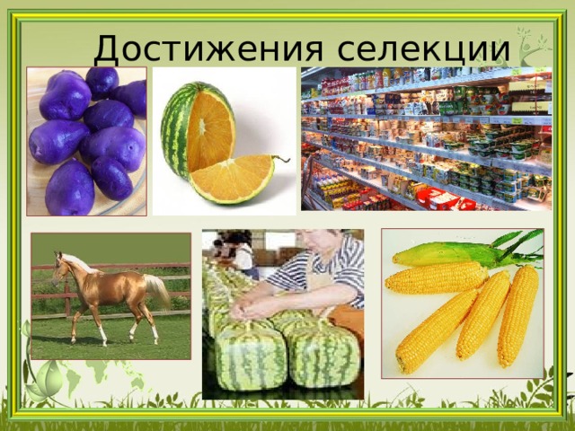 Достижения селекции 
