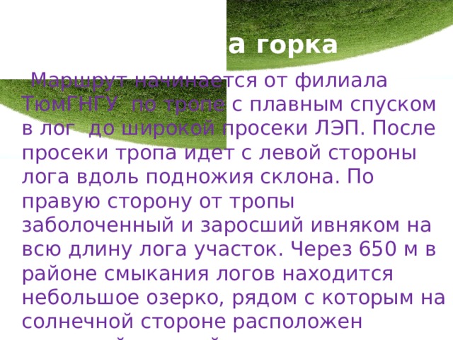 Чертова горка  Маршрут начинается от филиала ТюмГНГУ по тропе с плавным спуском в лог до широкой просеки ЛЭП. После просеки тропа идет с левой стороны лога вдоль подножия склона. По правую сторону от тропы заболоченный и заросший ивняком на всю длину лога участок. Через 650 м в районе смыкания логов находится небольшое озерко, рядом с которым на солнечной стороне расположен открытый пологий склон. Неофициальное название в народе получил как Чертова горка. 