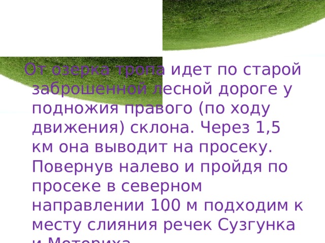  От озерка тропа идет по старой заброшенной лесной дороге у подножия правого (по ходу движения) склона. Через 1,5 км она выводит на просеку. Повернув налево и пройдя по просеке в северном направлении 100 м подходим к месту слияния речек Сузгунка и Моториха. 