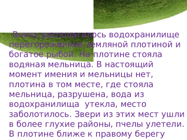  Внизу располагалось водохранилище перегороженное земляной плотиной и богатое рыбой. На плотине стояла водяная мельница. В настоящий момент имения и мельницы нет, плотина в том месте, где стояла мельница, разрушена, вода из водохранилища утекла, место заболотилось. Звери из этих мест ушли в более глухие районы, пчелы улетели. В плотине ближе к правому берегу имеется промоина, на дне которой теснится р.Сузгунка. 