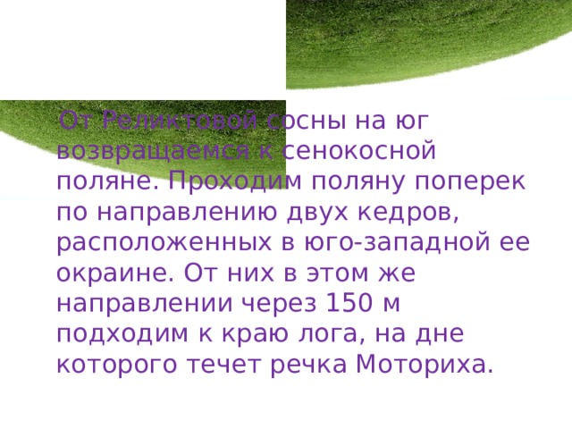  От Реликтовой сосны на юг возвращаемся к сенокосной поляне. Проходим поляну поперек по направлению двух кедров, расположенных в юго-западной ее окраине. От них в этом же направлении через 150 м подходим к краю лога, на дне которого течет речка Моториха. 