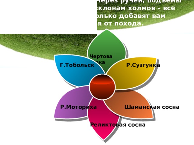 Переправы по бревну через ручей, подъемы и спуски по крутым склонам холмов – все эти препятствия только добавят вам удовольствия от похода.   Чертова горка  Г.Тобольск Р.Сузгунка Р.Моториха Шаманская сосна Реликтовая сосна 