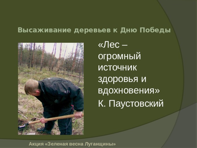 Высаживание деревьев к Дню Победы «Лес – огромный источник здоровья и вдохновения» К. Паустовский Акция «Зеленая весна Луганщины»  