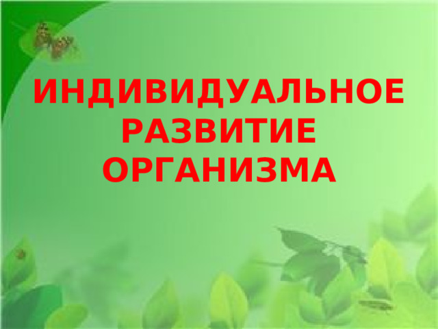 ИНДИВИДУАЛЬНОЕ РАЗВИТИЕ ОРГАНИЗМА   