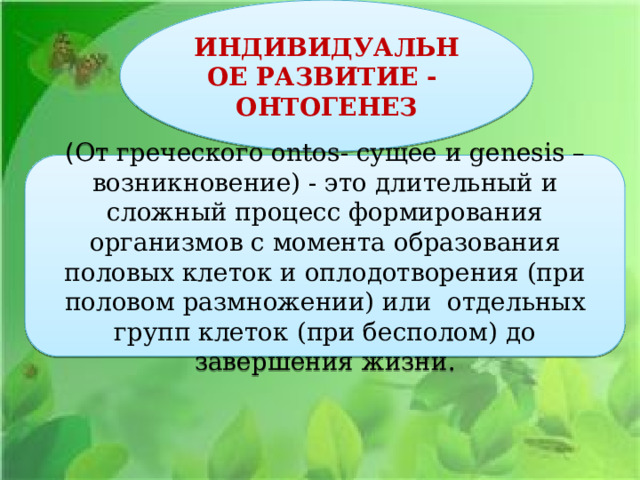 ИНДИВИДУАЛЬНОЕ РАЗВИТИЕ - ОНТОГЕНЕЗ ( От греческого ontos- сущее и genesis – возникновение) - это длительный и сложный процесс формирования организмов с момента образования половых клеток и оплодотворения (при половом размножении) или отдельных групп клеток (при бесполом) до завершения жизни. 