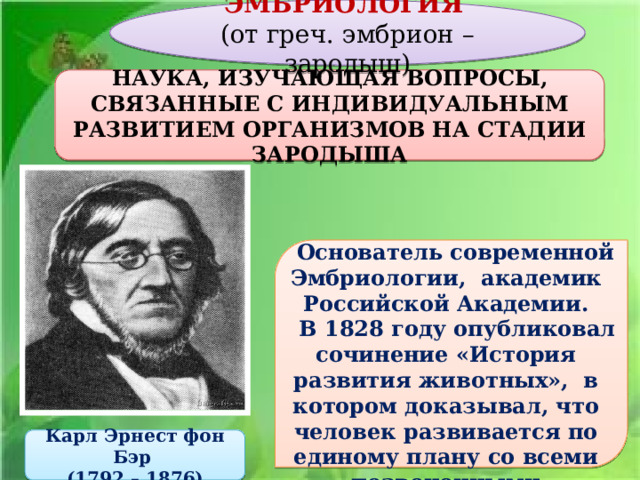 ЭМБРИОЛОГИЯ (от греч. эмбрион – зародыш) НАУКА, ИЗУЧАЮЩАЯ ВОПРОСЫ, СВЯЗАННЫЕ С ИНДИВИДУАЛЬНЫМ РАЗВИТИЕМ ОРГАНИЗМОВ  НА СТАДИИ ЗАРОДЫША   Основатель современной Эмбриологии, академик Российской Академии.  В 1828 году опубликовал сочинение «История развития животных», в котором доказывал, что человек развивается по единому плану со всеми позвоночными животными .  Карл Эрнест фон Бэр  (1792 – 1876) 