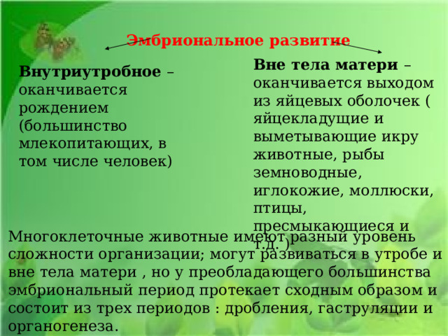 Эмбриональное развитие Вне тела матери – оканчивается выходом из яйцевых оболочек ( яйцекладущие и выметывающие икру животные, рыбы земноводные, иглокожие, моллюски, птицы, пресмыкающиеся и т.д. ) Внутриутробное – оканчивается рождением (большинство млекопитающих, в том числе человек)  Многоклеточные животные имеют разный уровень сложности организации; могут развиваться в утробе и вне тела матери , но у преобладающего большинства эмбриональный период протекает сходным образом и состоит из трех периодов : дробления, гаструляции и органогенеза.  