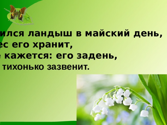 Родился ландыш в майский день, И лес его хранит, Мне кажется: его задень, И он тихонько зазвенит.  