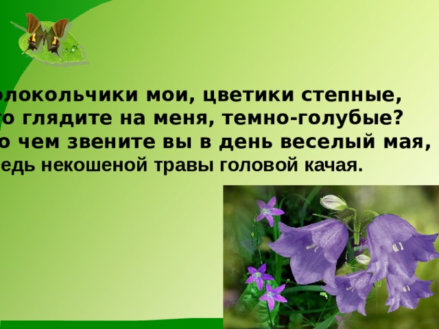 Колокольчики мои, цветики степные, Что глядите на меня, темно-голубые? И о чем звените вы в день веселый мая, Средь некошеной травы головой качая.  