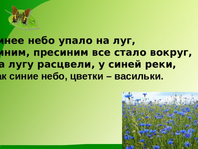Синее небо упало на луг, Синим, пресиним все стало вокруг, На лугу расцвели, у синей реки, Как синие небо, цветки – васильки.  