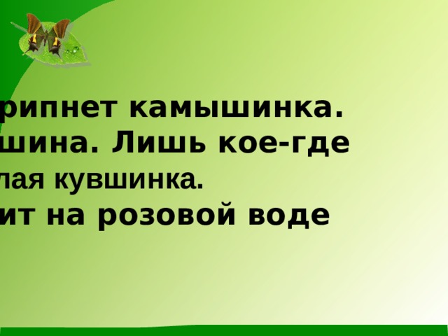Скрипнет камышинка. Тишина. Лишь кое-где Белая кувшинка.  Спит на розовой воде 