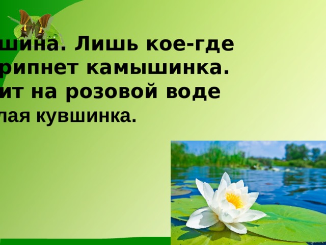 Тишина. Лишь кое-где Скрипнет камышинка. Спит на розовой воде Белая кувшинка.  