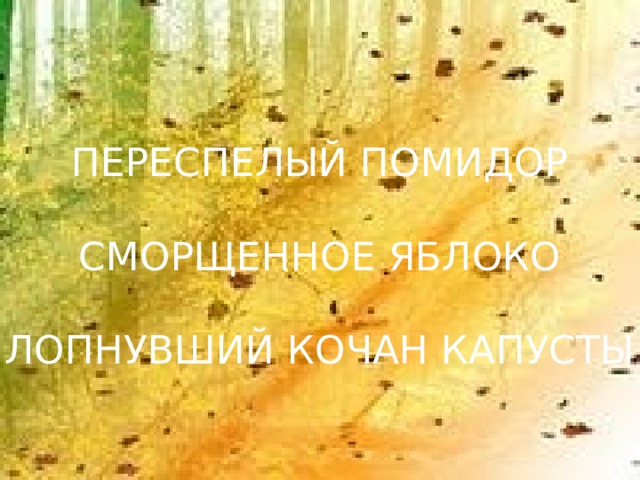 ПЕРЕСПЕЛЫЙ ПОМИДОР СМОРЩЕННОЕ ЯБЛОКО ЛОПНУВШИЙ КОЧАН КАПУСТЫ