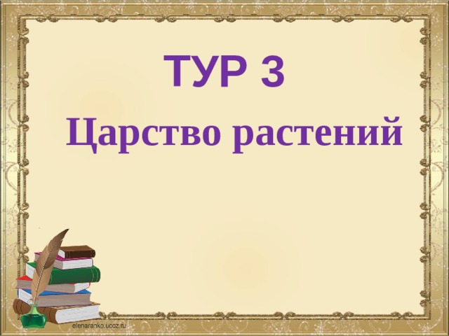 ТУР 3  Царство растений 