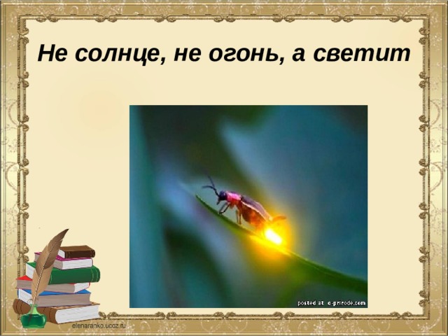 Не солнце, не огонь, а светит 