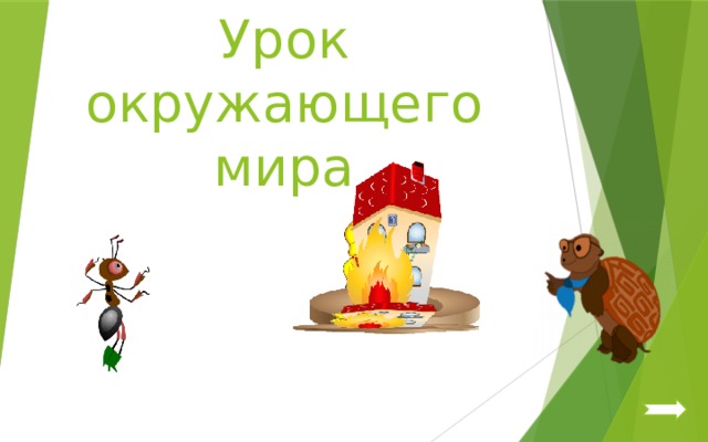 Урок  окружающего мира 