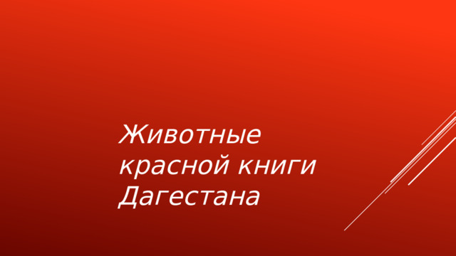 Животные красной книги Дагестана   