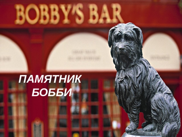ПАМЯТНИК  БОББИ 