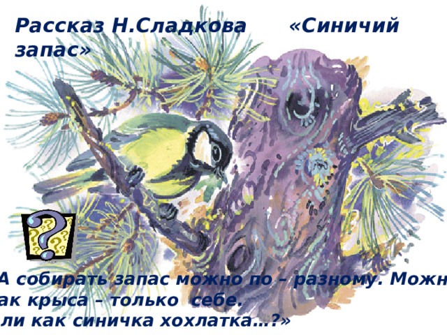 Рассказ Н.Сладкова «Синичий запас» «А собирать запас можно по – разному. Можно как крыса – только себе. Или как синичка хохлатка…?» 